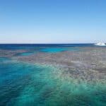 Warum heißt das Rote Meer Rotes Meer?
