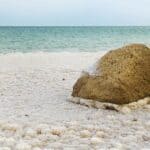 Salzgehalt Totes Meer